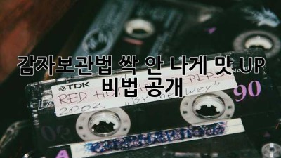 🥔감자보관법🥔: 싹 안 나게, 맛 UP! 비법 공개!