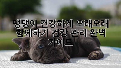 댕댕이 건강하게 오래오래 함께하기: 건강 관리 완벽 가이드